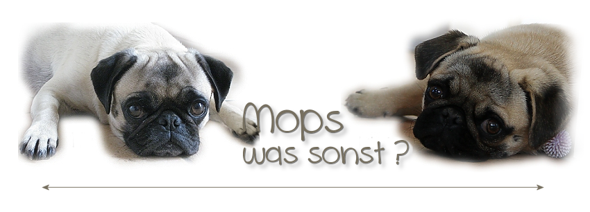 Mops-wassonst