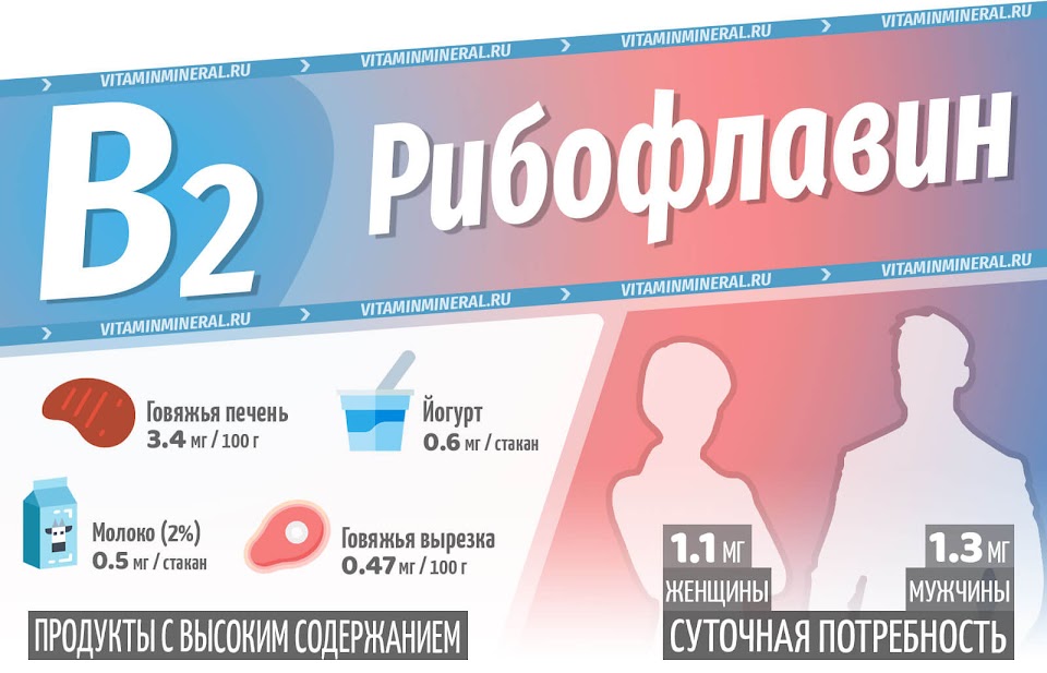 Витамин B2 — инфографика