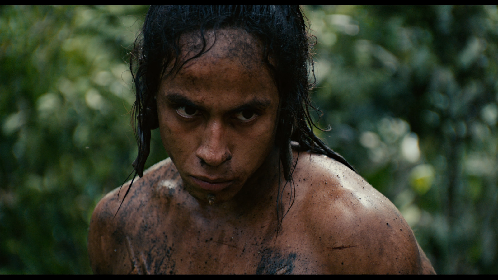 Descargar Apocalypto BD25 BDRip 1080p.