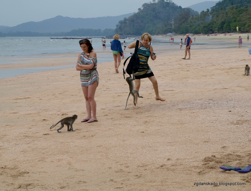 Plaża w Ao Nang