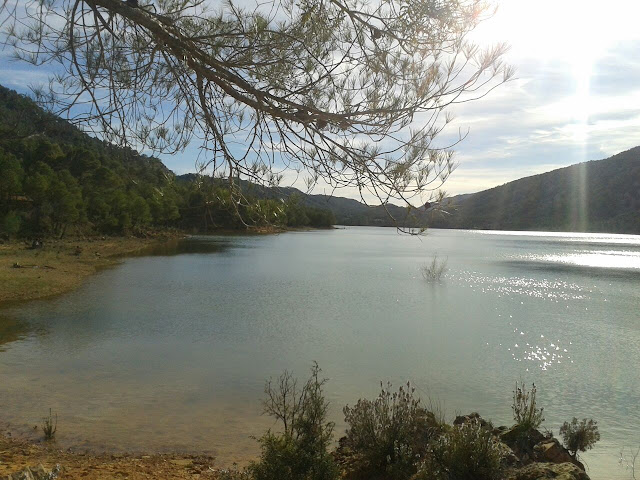 Pantano de Pena