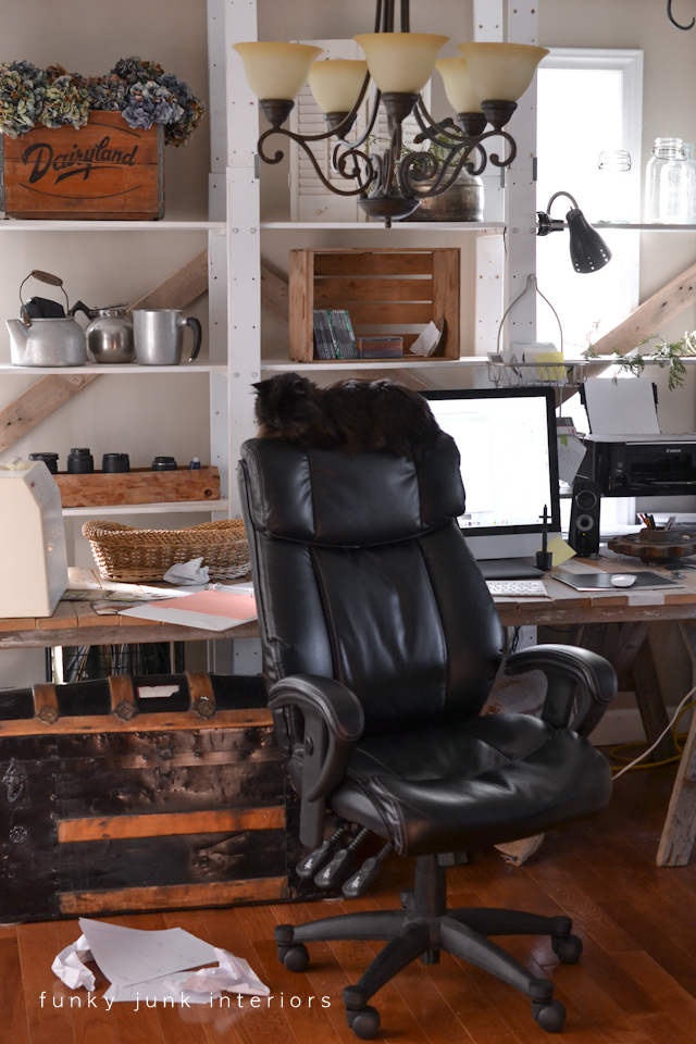 Teddy The Cat And Her Quirky Office Chair Perch Funky Junk Interiors