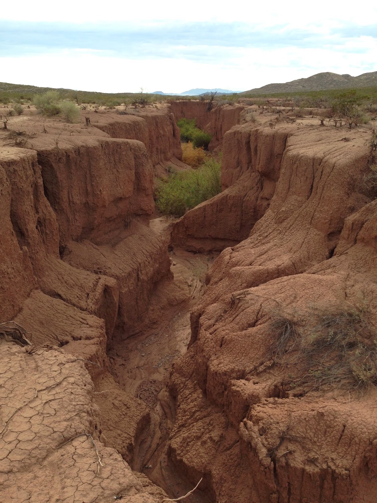 Southern New Mexico Explorer Toby Hole Mcleod Hills( Caballo Mountains)