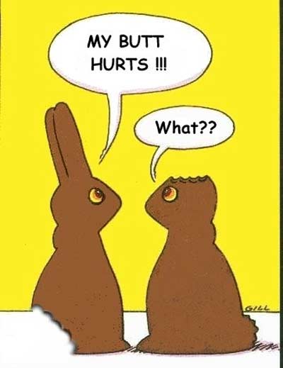 happy easter funny bunny. You#39;re My Funny Bunny!