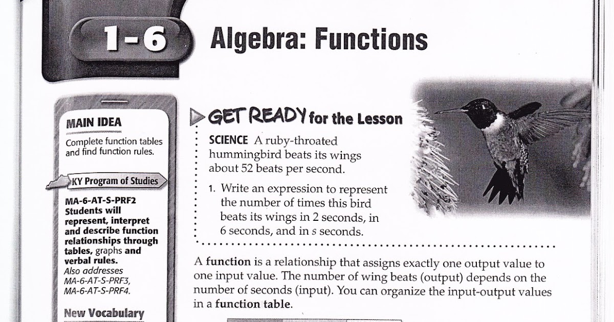 Math homework help grade 11