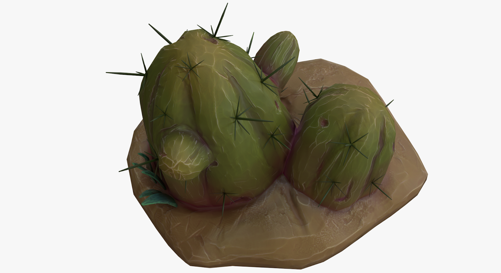 Cactus_v1_Render_Extra_01.png