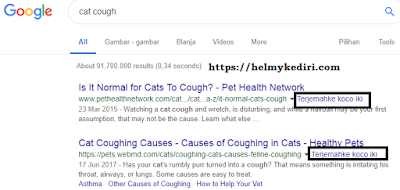 cat cough