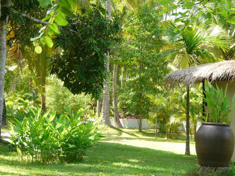 Koh Phangan House for rent Coconut Lane Villas 22000฿