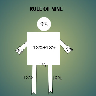 Rule of Nine - Burn 