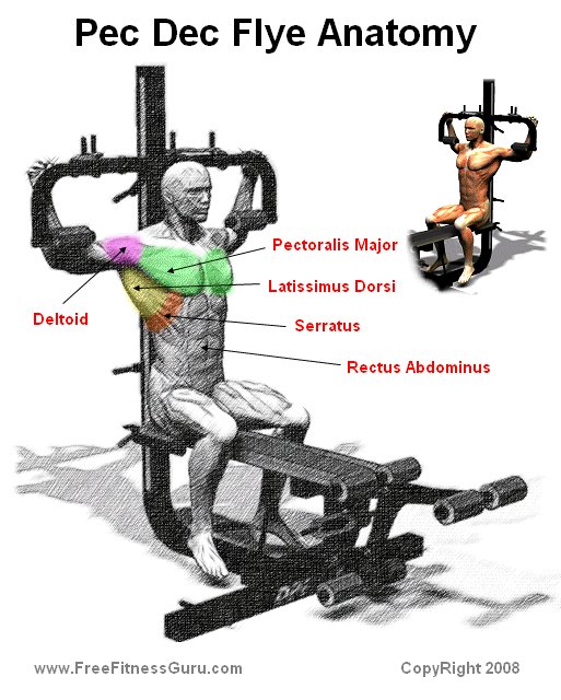 Exercise the Pec Deck