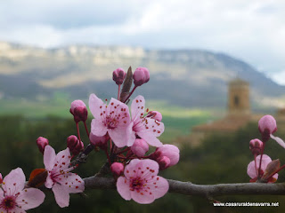 turismo rural Navarra en primavera