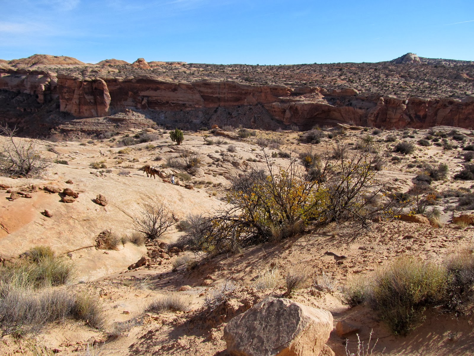 Janie and Steve, Utah Trails Horseshoe Canyon