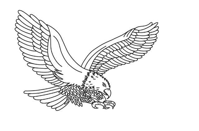 Eagle Cartoone Colour Drawing HD Wallpaper