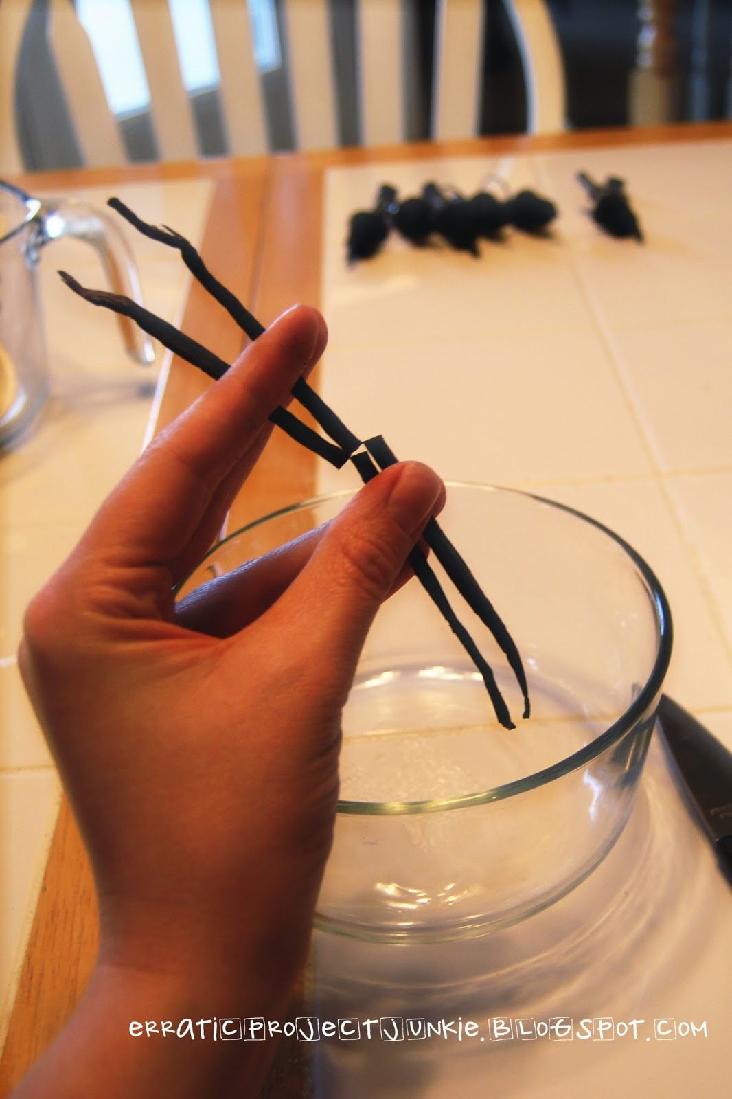 Erratic Project Junkie Homemade Vanilla Extract