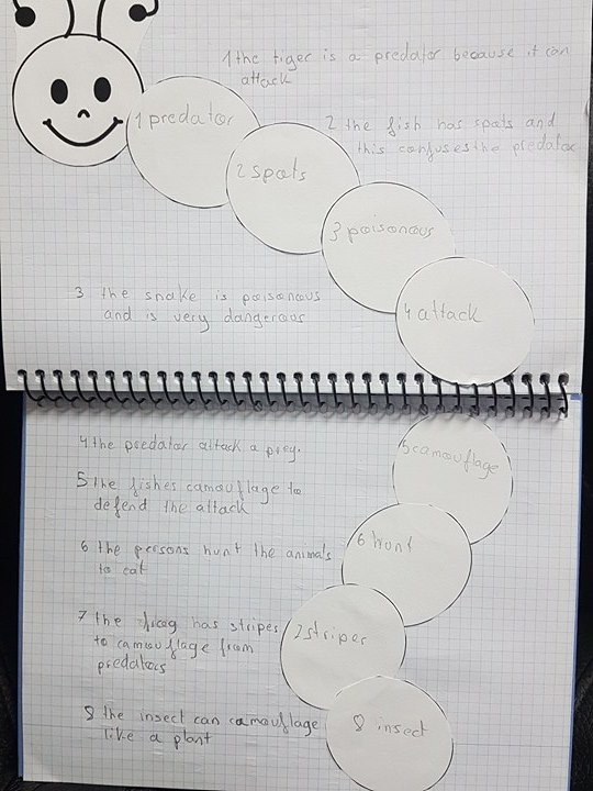 Love English Caterpillar sentences