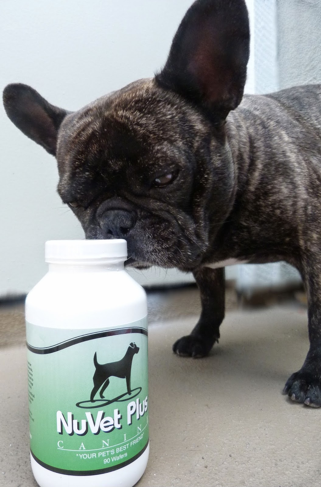 valium dosage for dogs can i give human vitamins