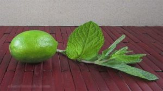 Hierbabuena Y Limon Para Tratar Los Tipos De Padecimientos, No Te Lo Pierdas Hierbabuena Y Limon Para Tratar Los Tipos De Padecimientos, No Te Lo Pierdas