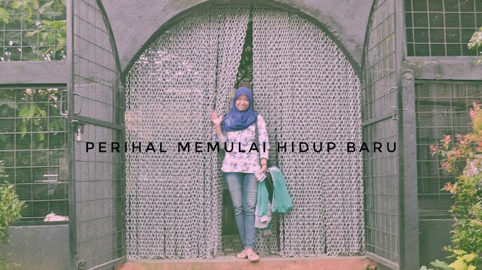 Perihal Memulai Hidup Baru