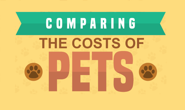 Comparing the cost of pets