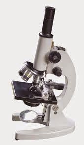 Percobaan Membuat Mikroskop sederhana