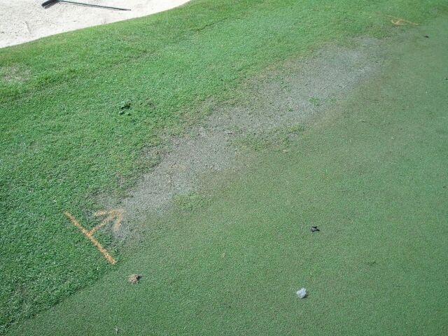 Great Waters Golf Course Maintenance: Re-sodding greens collars