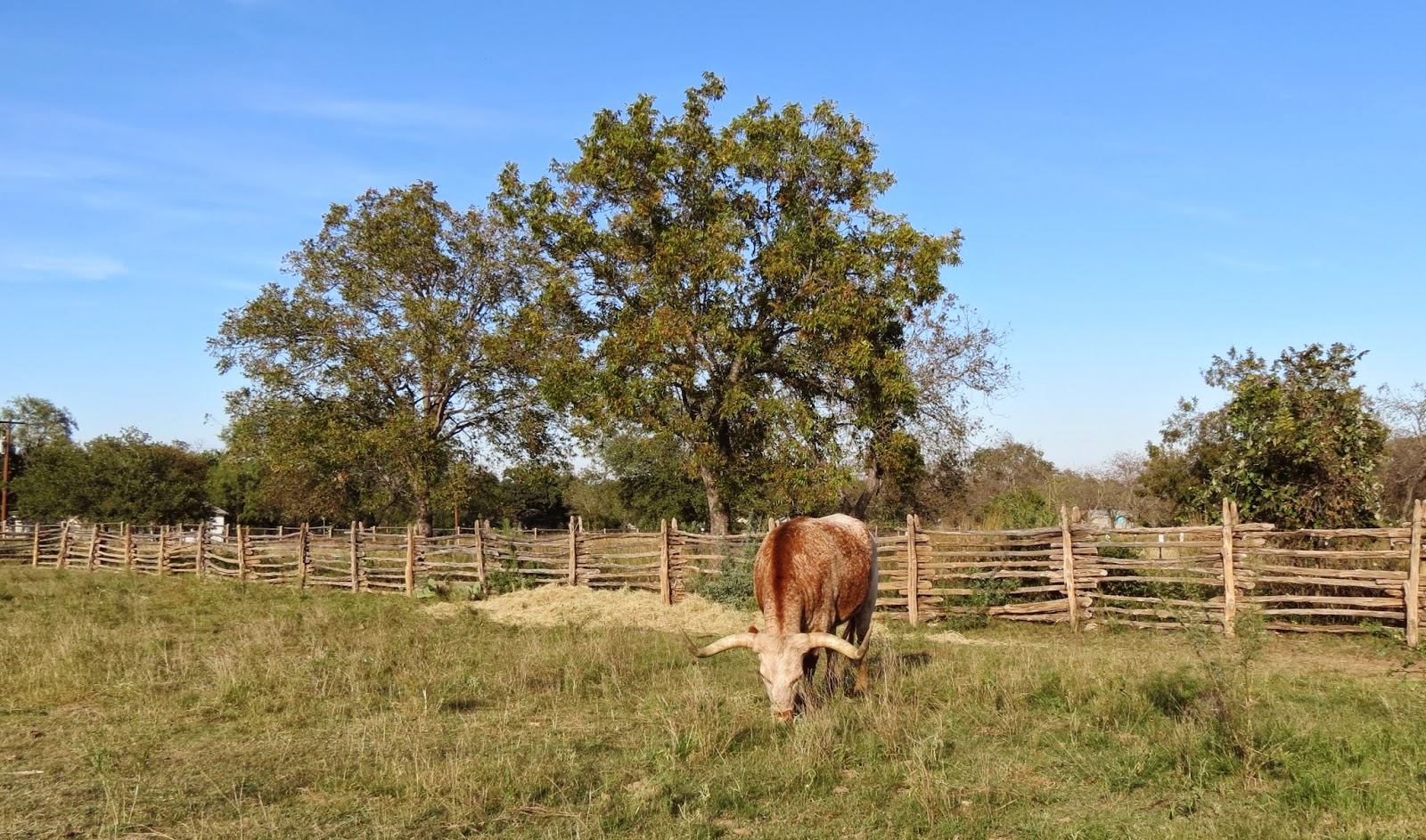 Birding Across Texas Johnson Settlement at Lyndon B Johnson National