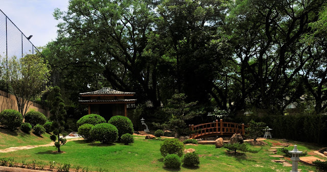 jardim japones; ponte jardim; paisagismo; pinheiro negro