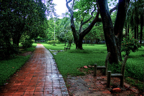 Ramna Park The Most Beautiful Place In Dhaka