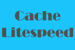 Cara Mengaktifkan Fungsi Cache Litespeed Di Wordpress