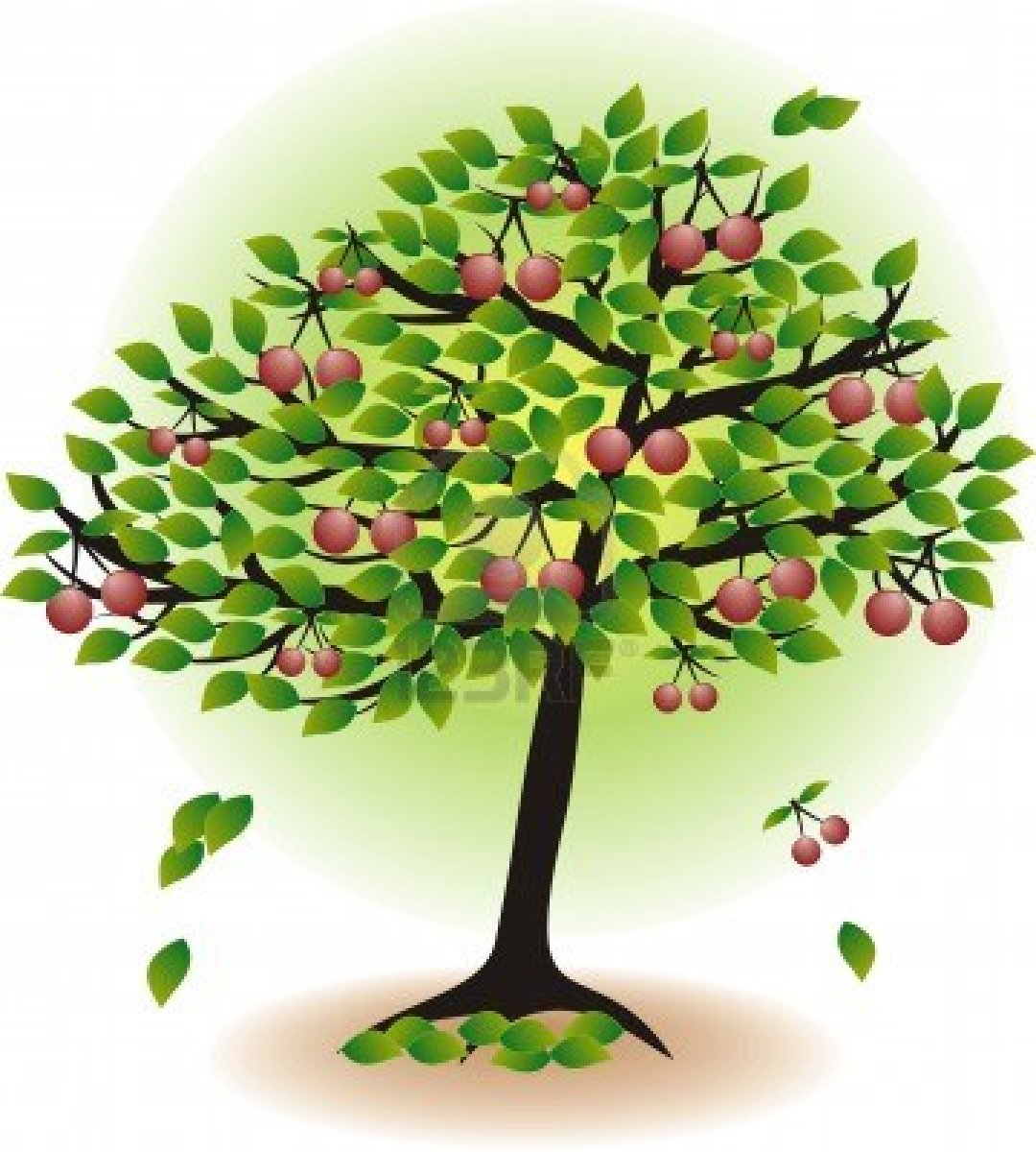 clipart tree with roots and fruit - photo #50