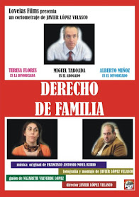 DERECHO DE FAMILIA (2008)