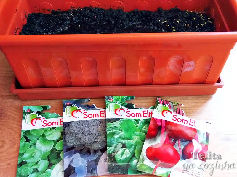 microvegetais microgreens