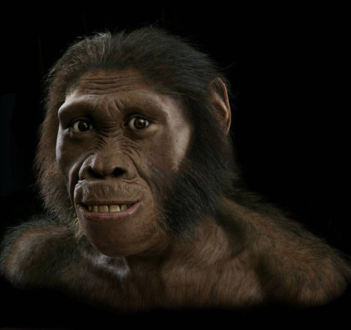 Siapakah Lucy si Australopithecus