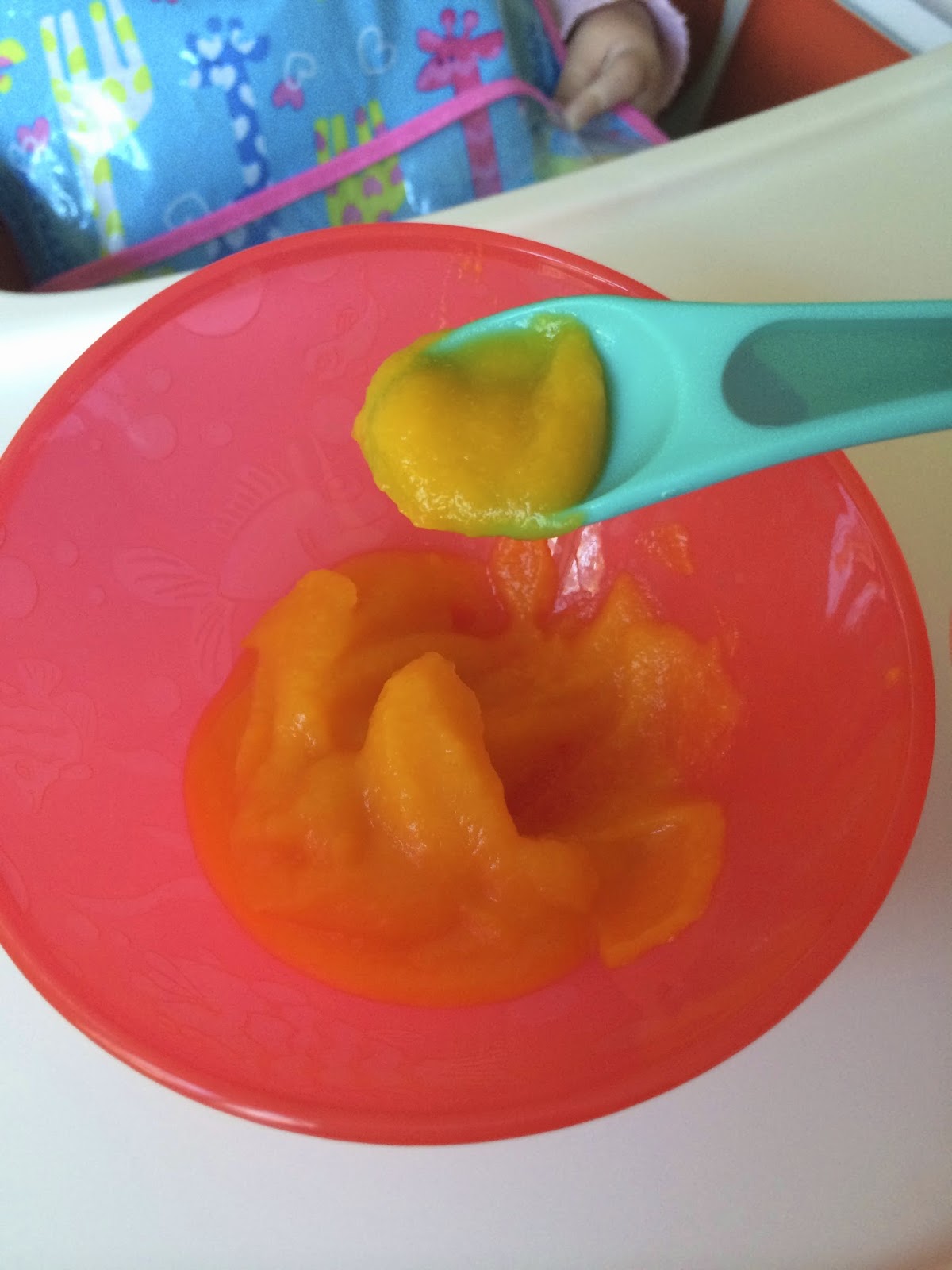 The Cutest Little House in Town: Homemade baby purees