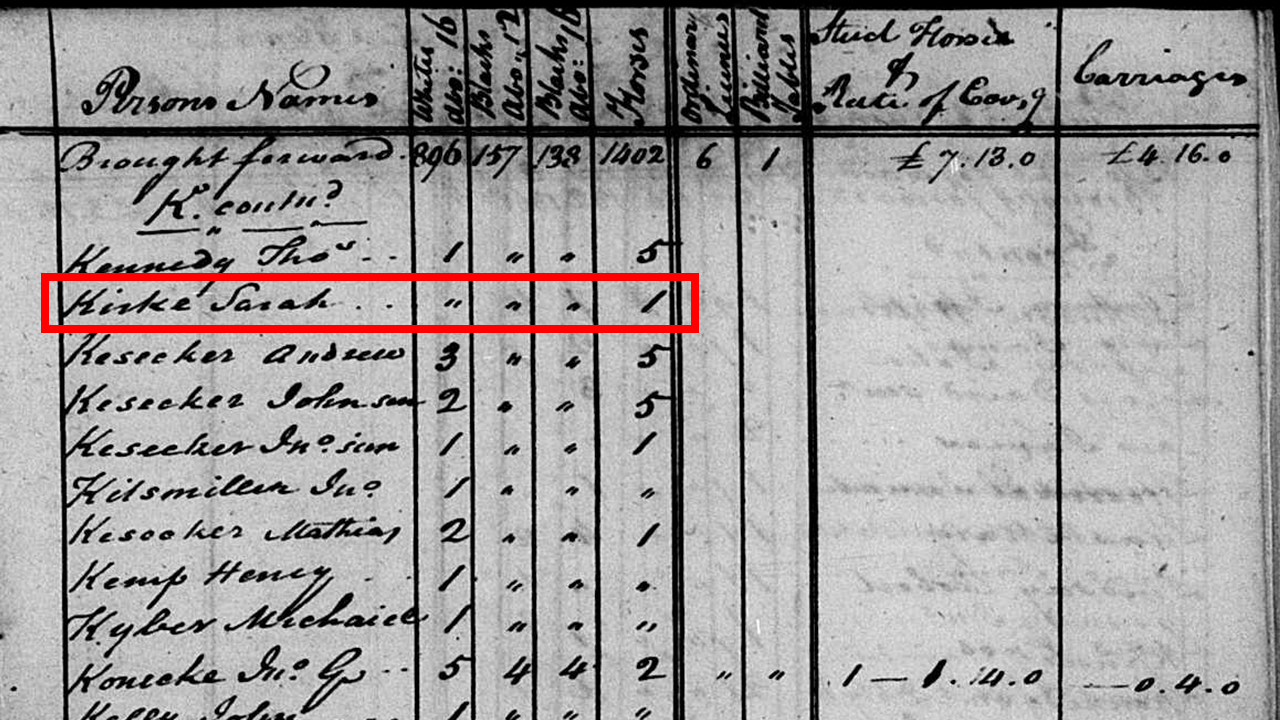 Family Sleuther Coming of Age in Virginia's 18th Century Tax Records