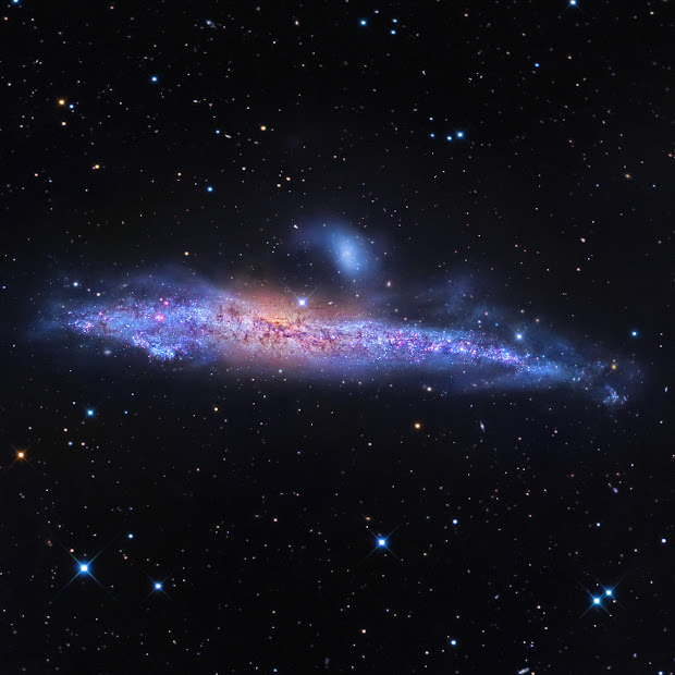 Starburst Edge-On Spiral Galaxy NGC 4631, the Whale Galaxy