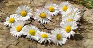 Frasi Dolci Per Lei Pensieri Romantici E Toccanti Per Una Ragazza Speciale Linkuaggio