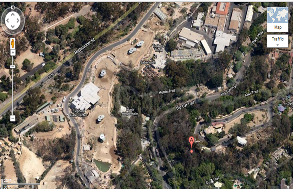 Zoo Tails Aerial Antics San Diego Zoo