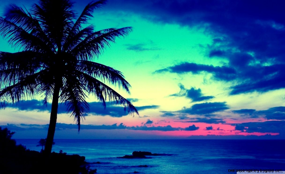 Tropical Sunrise Wallpaper