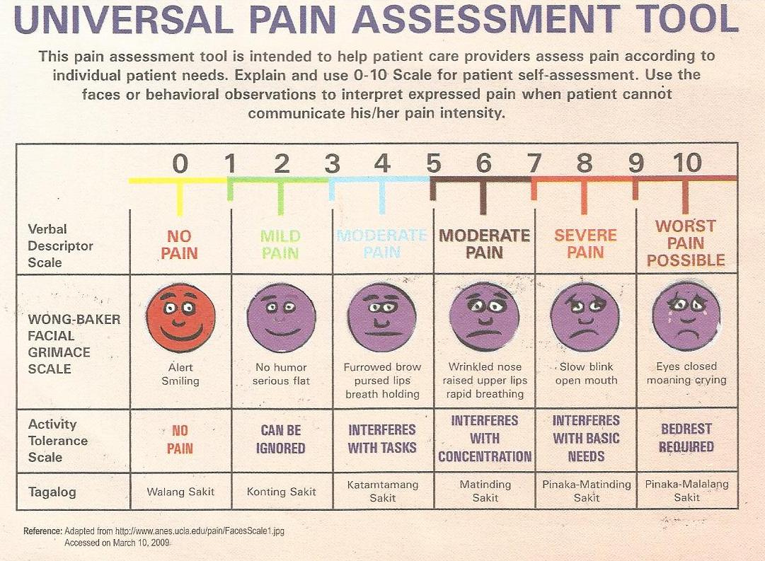 The Universal Pain Assessment Scale Separated At Birth - Gambaran