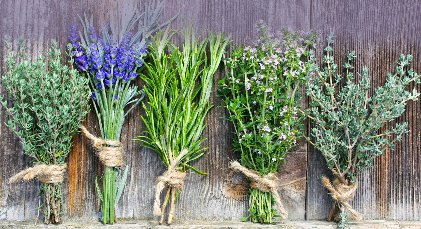 Сушеные травы обереги. Травяные обереги obereg trava. Растение от сглаза. Чертополох луговой. Травы от злых духов.