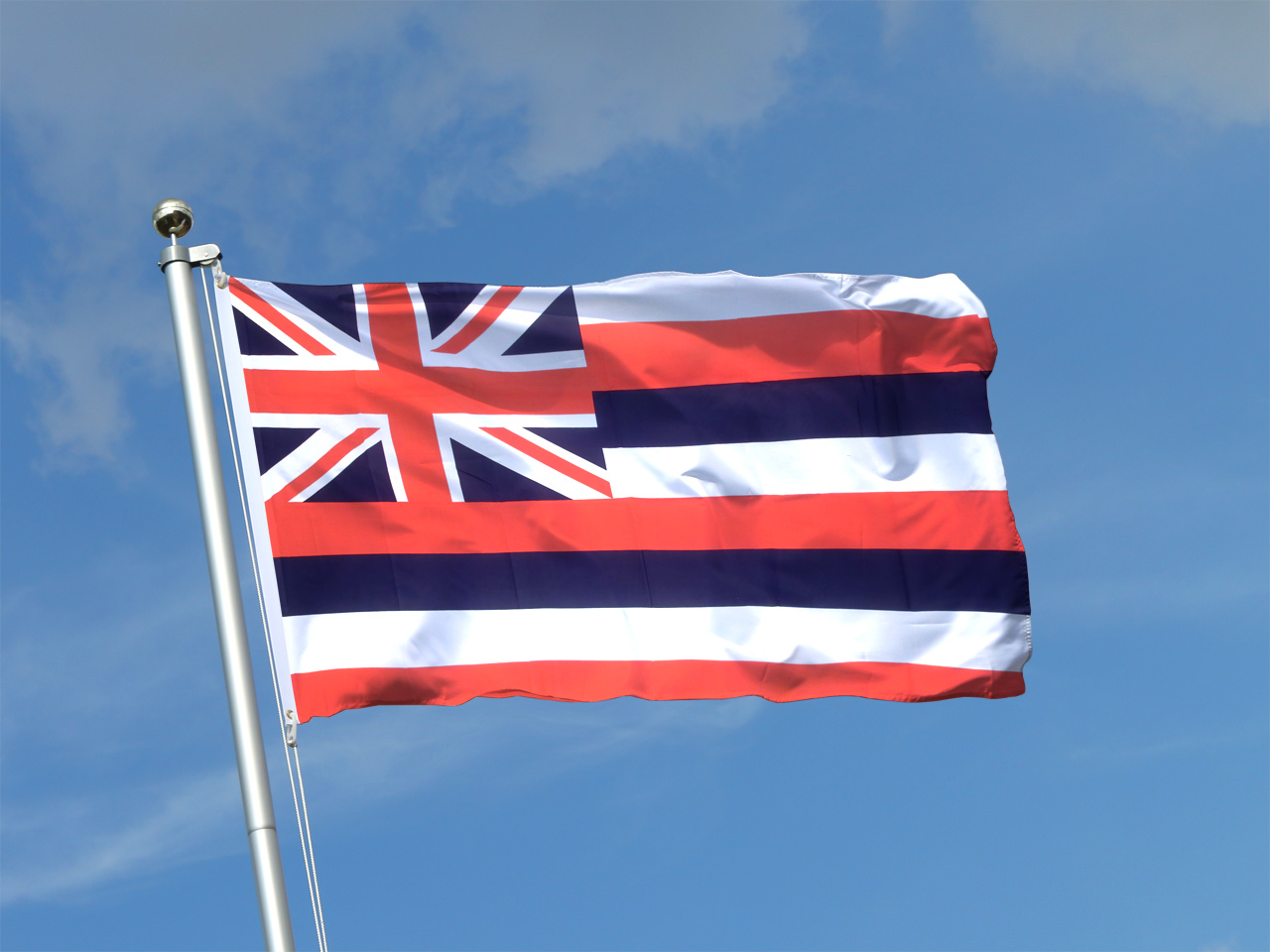 The Mad Monarchist Flag Day in Hawaii