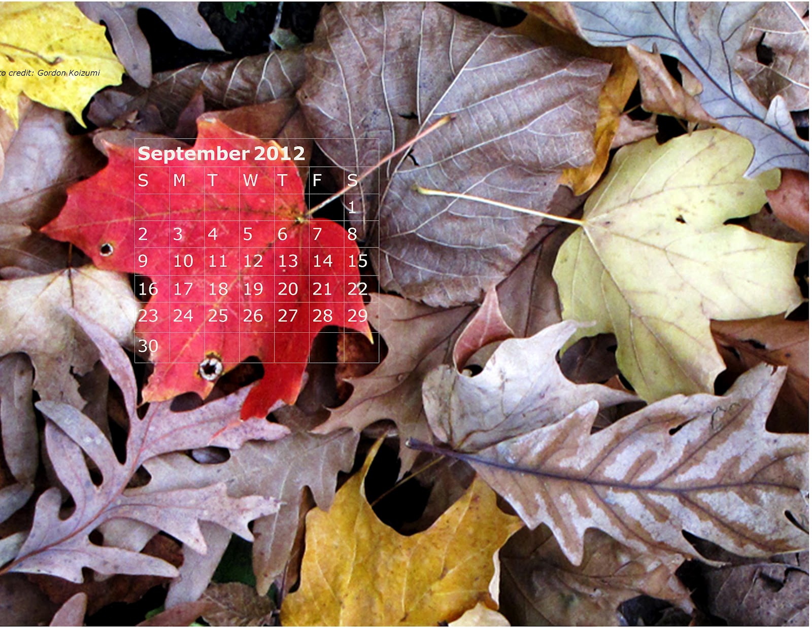 Fermilab Natural Areas September Desktop Calendar