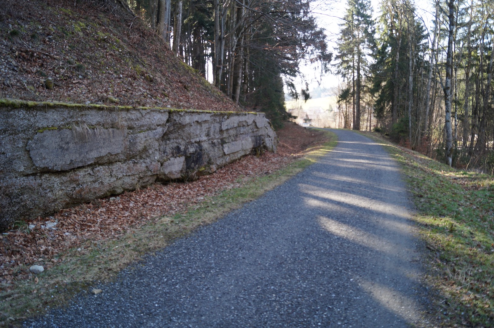 Allgäu Online Römischer Burgus Ahegg