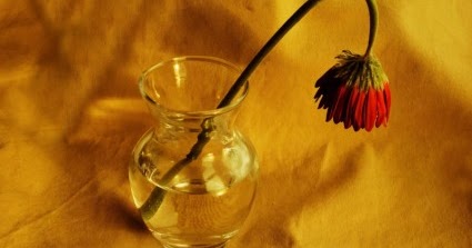 SETIAP YANG HIDUP PASTI AKAN MATI - AS SUNNAH