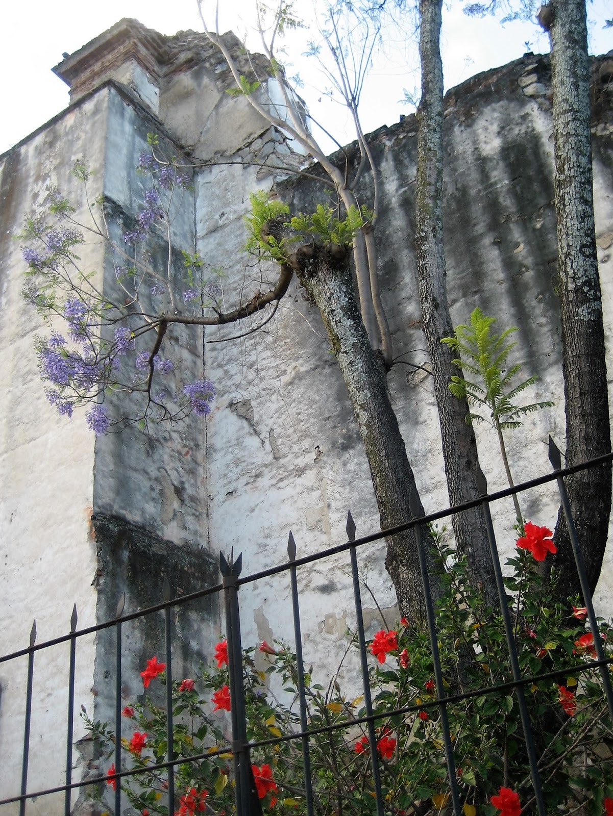 Living Rootless Antigua, Guatemala A Refuge From Noise