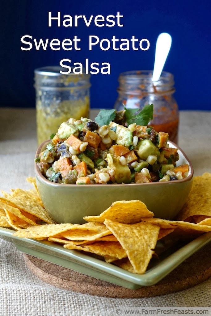 Harvest Sweet Potato Salsa | Farm Fresh Feasts