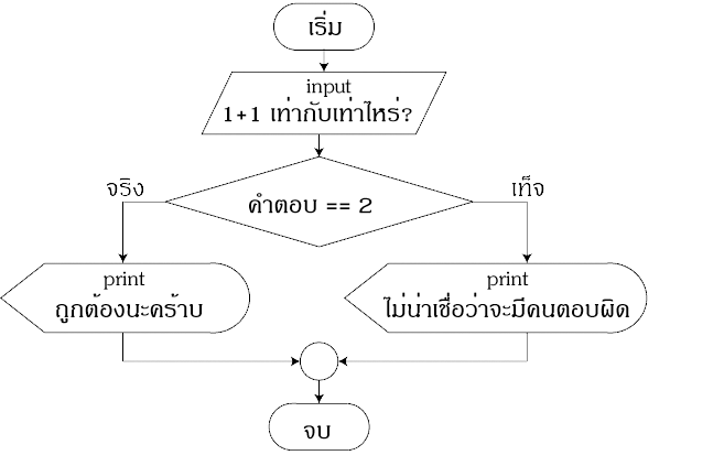 ครูพิชยา: ผังงาน (Flowchart)