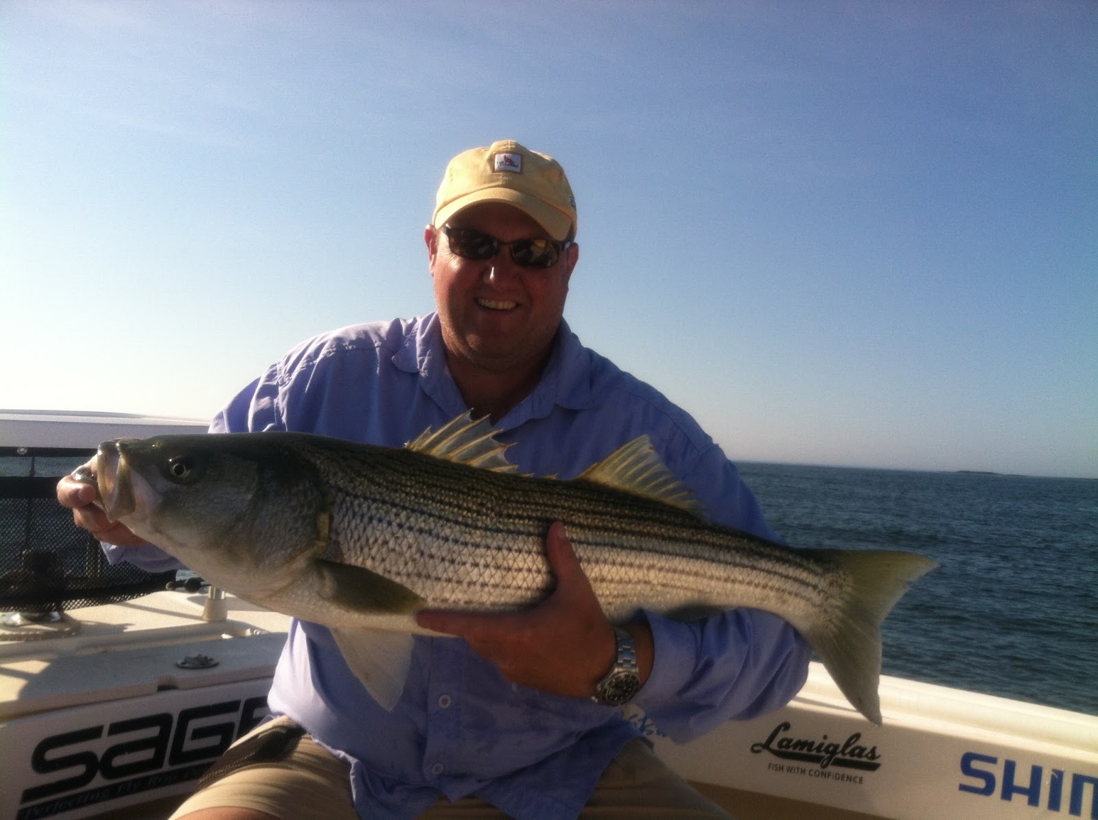 Maine Striper Fishing Charters & Reports Hotline 2076910745 Maine