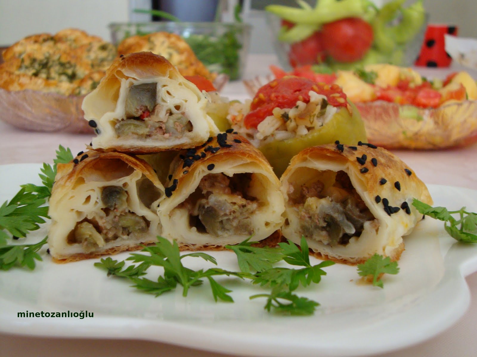 MİNE TOZANLIOĞLU Hıım Kıymalı Patlıcanlı Börek